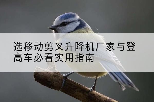 冕宁电动升降机厂家-选移动剪叉升降机厂家与登高车必看实用指南