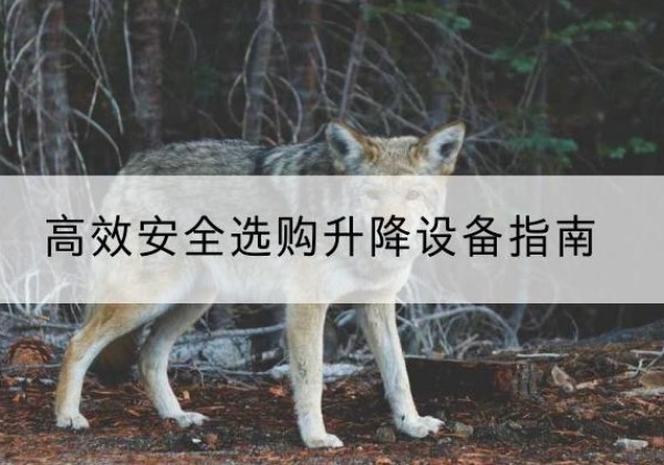 冕宁升降货梯厂家推荐-*安全选购升降设备指南