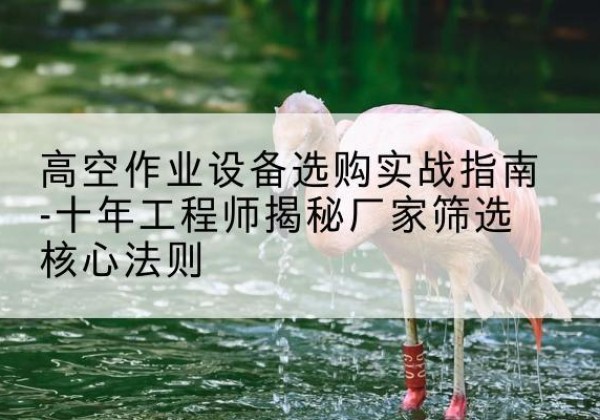 冕宁剪叉式升降机厂家-高空作业设备选购实战指南-十年工程师揭秘厂家筛选核心法则